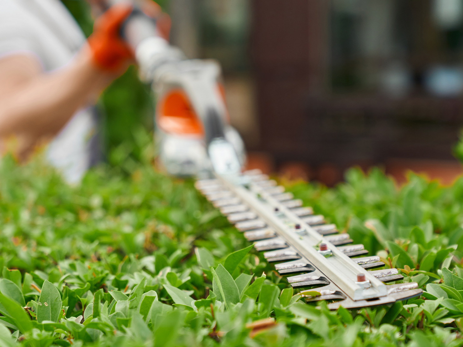 Gartenpflege_FabianTessmann